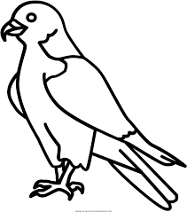 You can print or color them online at getdrawings.com for absolutely free. Peregrine Falcon Coloring Page Drawing Full Size Png Download Seekpng