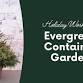 Workshop | Evergreen Container Garden event image