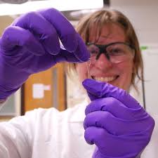 Engineering Summer Experience