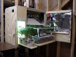 This is still cheap considering that you'll be using wood as the base and body of your tent. Diy Grow Box