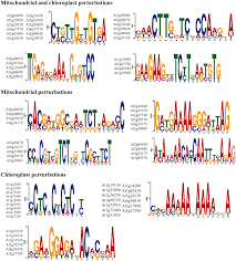Comparison of transcriptional changes to chloroplast and mitochondrial  perturbations reveals common and specific responses in Ar