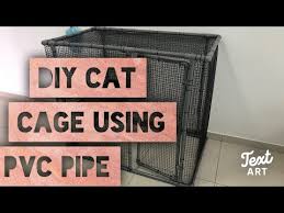 Diy #sangkar #kucing cara membuat sangkar kucing d.i.y sedikit perkongsian tentang cara2 membuat sangkar kucing. Diy Cat Cage Using Pvc Pipe Youtube