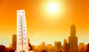 Image result for global warming photos