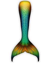 See more of paradise betta on facebook. Paradise Betta Full Fantasea Mermaid Tail Skin