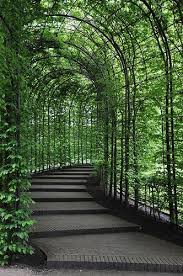 25 Most Beautiful Pathway Ideas Landscape Design Castle Garden Beautiful Gardens