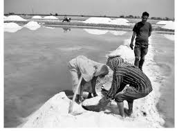 Salt production from saline waters of the Sambhar Lake, Rajasthan. Photo: Author, March 2016.