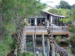 Weddings And Events At Brevard Zoo Wedding Venues Melbourne Florida Wedding Venues Brevard Zoo Nyami Nyami R Zoo Wedding Brevard Zoo Florida Wedding Venues