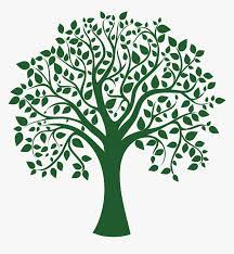 1920x1080 nature tree hd cool wallpaper backgrounds for phone desktop wallpapers hd 4k high definition mac apple colourful images. Clip Art Greentree Logo Family Tree No Background Hd Png Download Transparent Png Image Pngitem