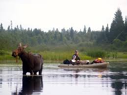 Learning to kayak is easy, learning to fish from one takes a bit of skill, and a fishing kayak. Pro Tips How To Choose The Right Fly Fishing Kayak Part I Orvis News