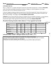 Cladogram Analysis Worksheet Pdf Karisma Ransom 4 Block Name Date Hour Read Cladogram Analysis What Is A Cladogram It Is A Diagram That Depicts Course Hero