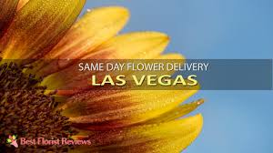 Additionally, each flower is being plucked from the best garden by our skilled florist. The 8 Best Options For Same Day Flower Delivery In Las Vegas 2021