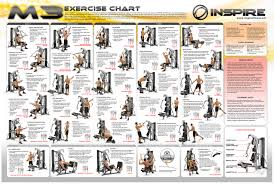 8 Best Images Of Total Gym Exercise Chart Printable Home
