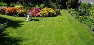 Have you been searching for a reliable lawn service company in the area? Brad S Lawn Care