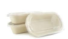 Oval Bagasse Food Container and Transparent Lid(800ml ...