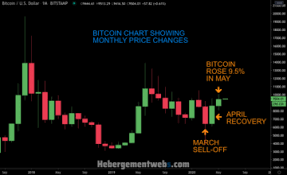 Showing 198 token contracts (from a total of 356,408 token contracts). First Comer 0x S Zrx Token Jumped 67 In May To Become Top Performer Of The Month