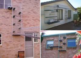 E Ai Gostou Catnip Modular Cat Enclosures Keeping Cats Safe In Australia Outdoor Cat Enclosure Cat Enclosure Outdoor Cats