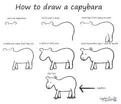 July 2012 Capybara Madness Capybara Draw Drawing For Kids
