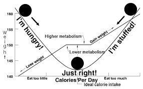 calories and weight