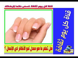 معلومات عن الاظافر هل تعلم ما هو معدل نمو الأظافر لدى الإنسان ثقافة عامة Rolo