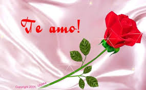 Spanish Love Graphics And Comments Marriage Songs Beautiful Love Quotes Love