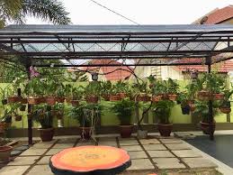 Anda sangat bisa mencobanya untuk. Kak Shah Kita Minta Pandangan Tentang Cok Orkid Kraf Facebook