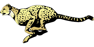 Cheetah Transparent Png Free Png Images Vector Psd Clipart Templates All cheetah clip art are png format and transparent background. png images vector psd clipart templates