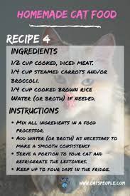 5 Homemade Cat Food Recipes Easy Cheap And Fun To Make In 2020 Homemade Cat Food Healthy Cat Food Raw Cat Food Recipes