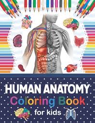 Download Human Anatomy Coloring Book For Kids Human Body Coloring Activity Book For Kids Kids Anatomy Coloring Book Human Body Anatomy Coloring Book Human Paperback Bright Side Bookshop