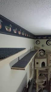 The outcome is a series of brightly colored shelves for our kitties to climb up. 10 Best D I Y Catwalk Ideas Angle Bracket Catwalk Diy