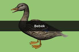 Jawaban tebak tebakan level 201 400 jawaban tebak tebakan level 401 555. 80 Gambar Bebek T2 Kekinian Gambar Pixabay