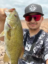 Are the fish getting closer in the video?