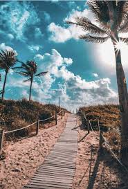 Si usted encuentra uno que este protegido por los derechos de autor, por favor infórmenos para retirarlo. Verano Playa Palmeras Fondo De Pantalla Naturfotografie Hintergrunde Schone Hintergrund Bilder