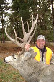 Our ranch is located 80 miles southeast of amarillo, near memphis, texas; Our Best Mule Deer Hunts Montana Hunting Outfitter