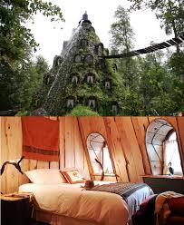 Montana Magica Lodge Located In Huilo Huilo Chile Pretty Cool Huilo Huilo Montana Magica Bonito
