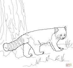 Exclusive Picture Of Red Panda Coloring Page Entitlementtrap Com Panda Coloring Pages Red Panda Unicorn Coloring Pages