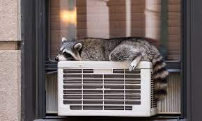 Many window air conditioners include adjustable panels, which help them expand to fit and seal most window. How Does A Window Air Conditioner Work 6 Steps To Cool
