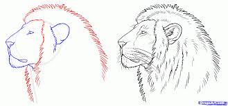 You didn't think i was going to submit a tutorial on a realistic how to sketch a mouth, step by step, drawing guide, by quynhle. Realistic Lion Drawing Easy Step By Step Novocom Top