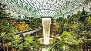 Changi airport has won skytrax's 'airline of the year' award every year since 2013. Singapore New Jewel Changi Airport Is A Treat For Jungle Lovers Photos Architectural Digest India
