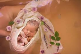 Newborn Herbal Bath So Beautiful Erin Tole Photography Fotografia Bebes Fotografia Infantil Fotografias De Bebes Recien Nacidos
