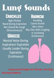 Nursing Mnemonics Lung Sounds Wheezing Crackling Ronchi And More Studypk Nursing Mnemonics Nursing Assessment Nursing School