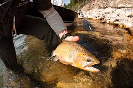 Listen to Your Guide | Hatch Magazine - Fly Fishing, etc.