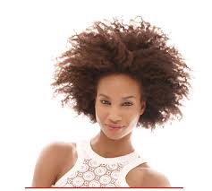 Private label hair care products for ethnic & african american hair with low minimums. Download Natural Hair Styling Products African American Hair Care Png Full Size Png Image Pngkit