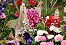 Zircon is a common accessory to trace mineral constituent of all kinds of igneous rocks, but particularly granite and felsic igneous rocks. Hd Wallpaper Assorted Color Flowers Hyacinth Spring Flower Asparagus Plant Wallpaper Flare