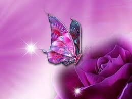 Pin On Animals Wallpapers