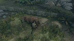You Can Finally Milk Animals In Elder Scrolls Skyrim