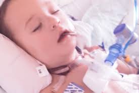 Fundraiser for David Ausano by Hailey Perez : Tommys recovery