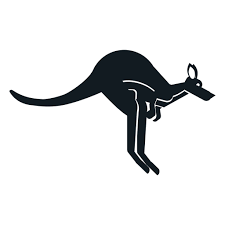 Download Kangaroo Ear Tail Muzzle Pouch Detailed Silhouette Transparent Png Svg Vector File