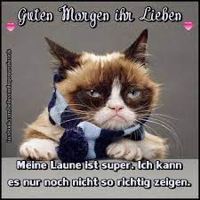 Pin Von Reiner Bernhardt Auf Guten Morgen Lustige Tiere Ausgestopftes Tier Haustier Humor