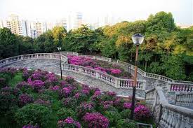 Telok blangah hill park in singapore 2020. Terrance Garden Telok Blangah Hill Park