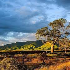 Australia Flinders Ranges Western Australia Travel Australia Travel Outback Australia